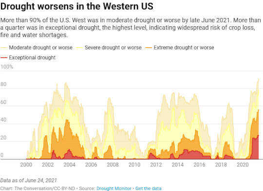Trees are dying of thirst in the Western drought – here’s what’s going on inside their veins